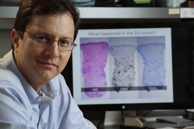 Paul Nghiem, lead author of the new study and pioneer of Merkel Cell Carcinoma research. (Fred Hutch Photo / Robert Hood)