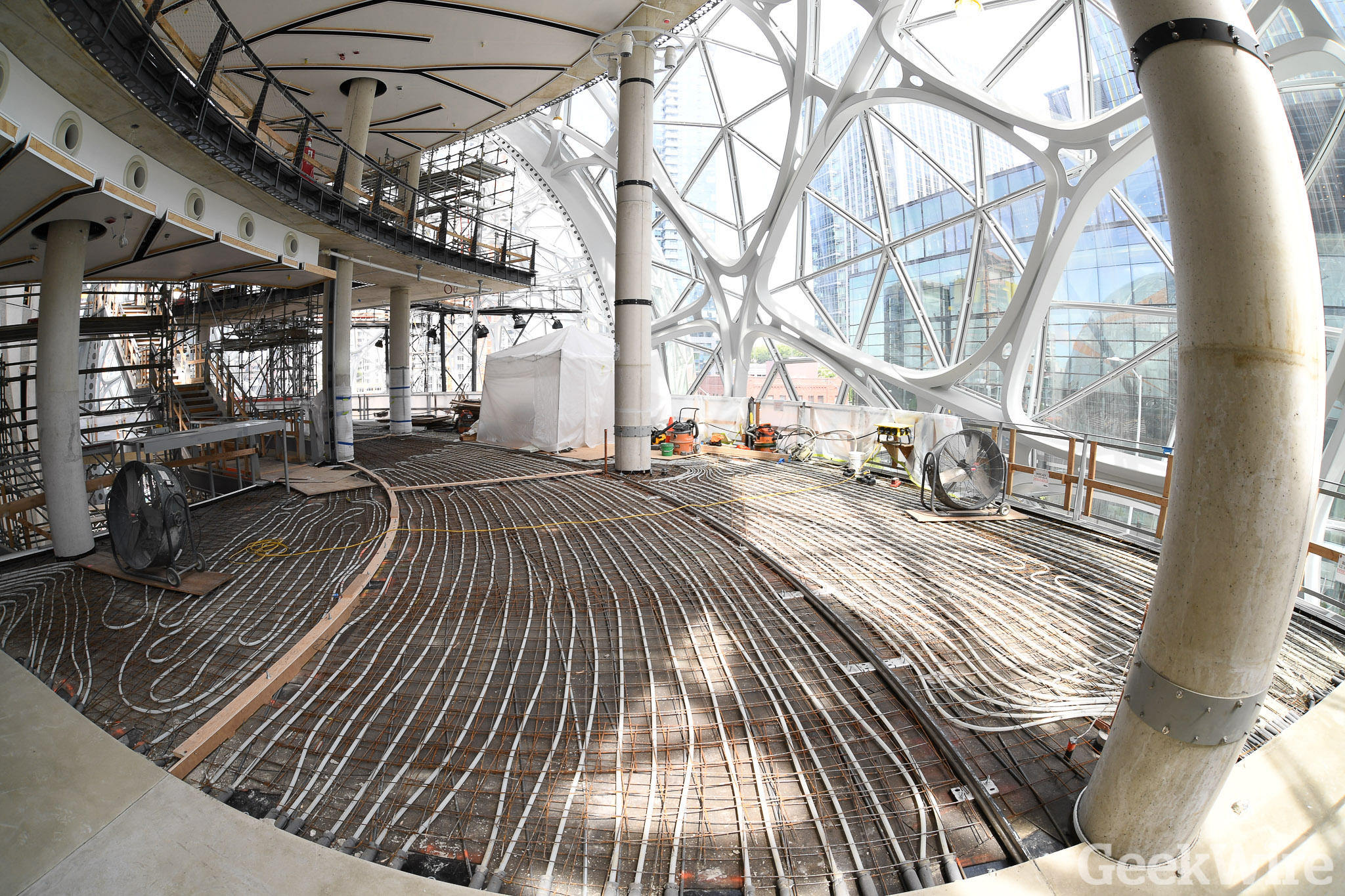 Watch: The first plant goes in the ground at Amazon's Spheres in ...