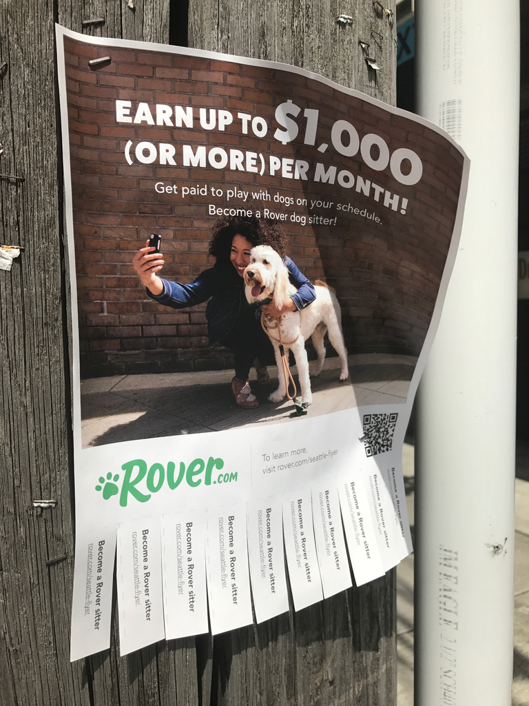 Rover Add Rover takes its dogged pursuit of new pet sitters to the streets with ...
