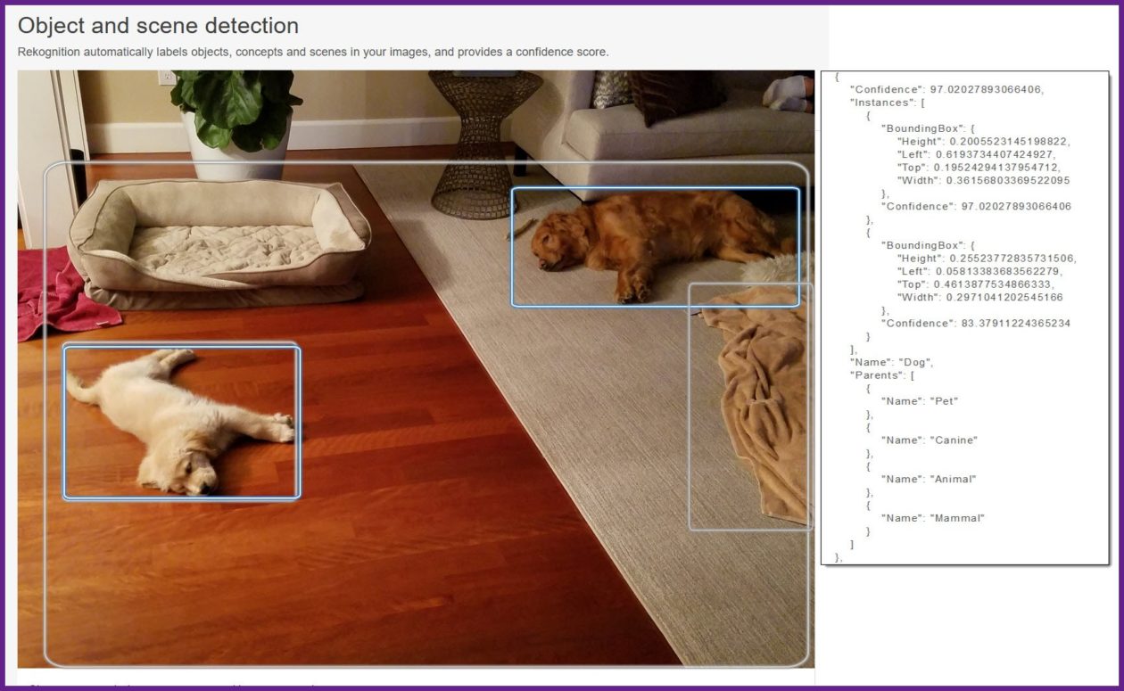 Amazon Web Services' Rekognition image analysis tool can now locate ...
