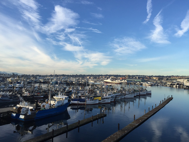 Seattle researchers aim to stop the spread of...