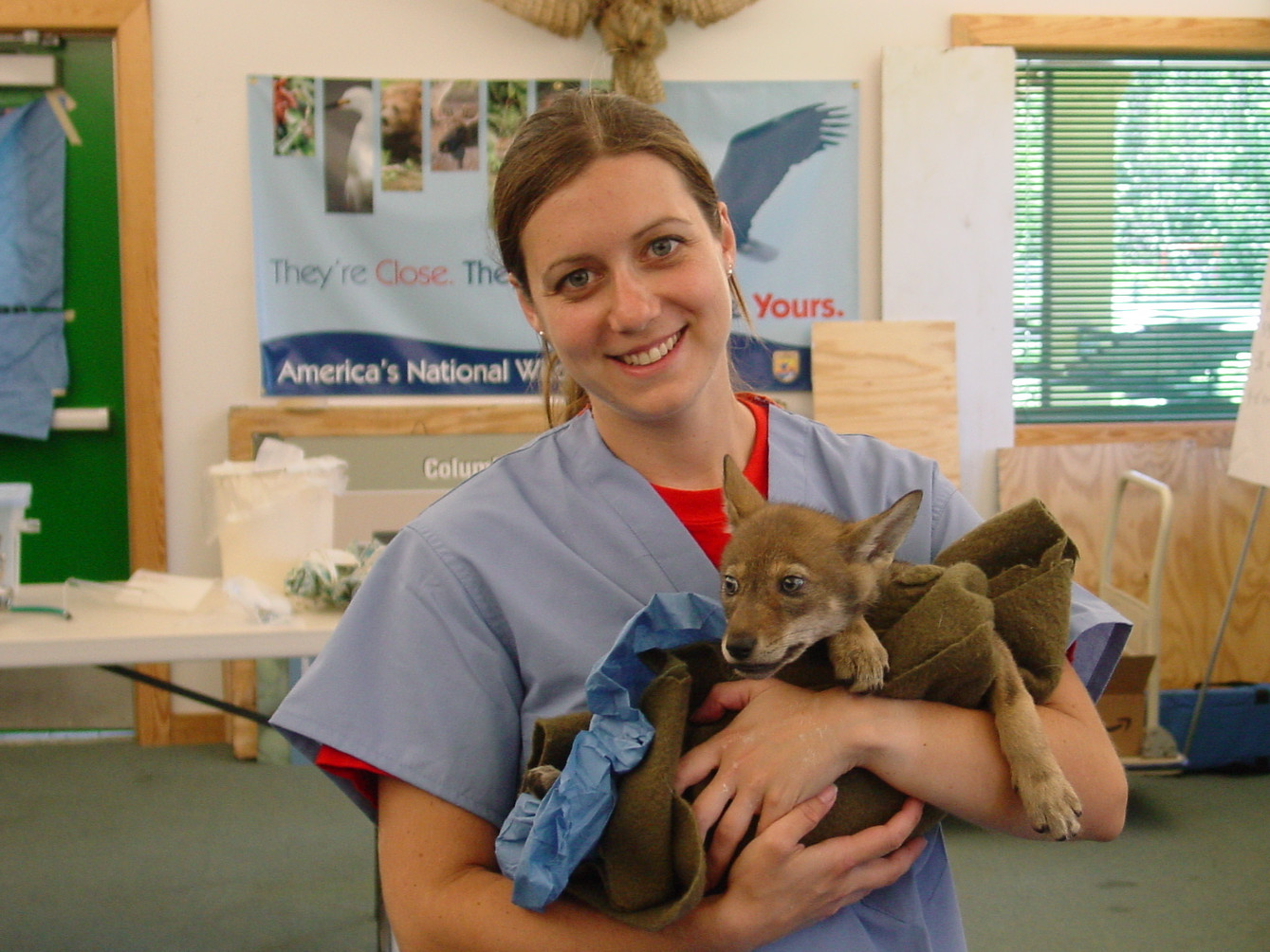 Data scientist detects biothreats using expertise in veterinary...