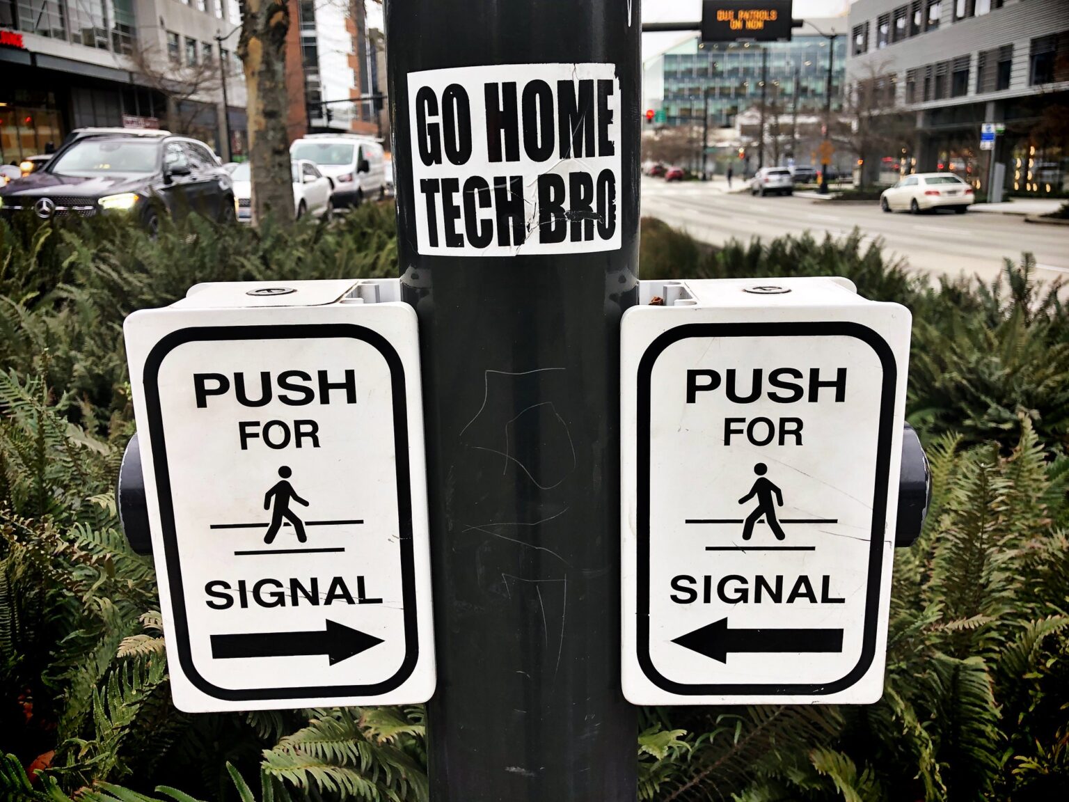 Techbro Remote 'Go home tech bro': Sentiment sticks around in Seattle, but pandemic ...