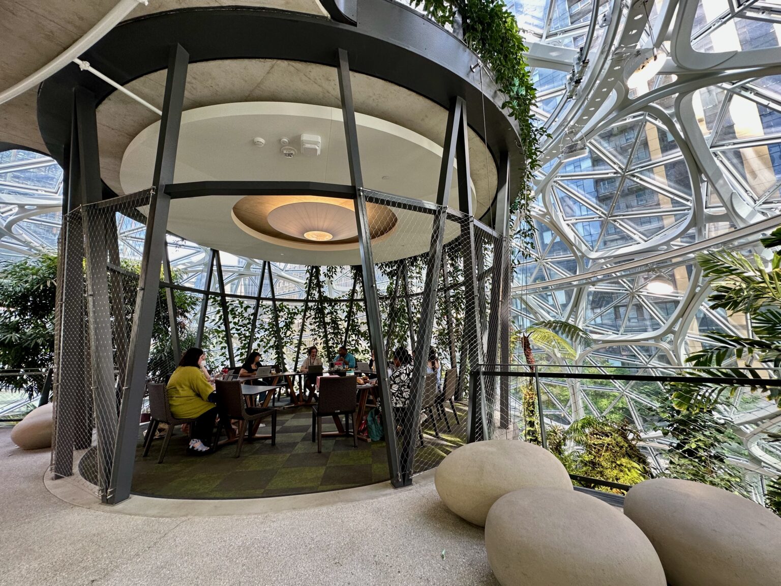 Inside Amazon's Spheres: After five years, the plants and employees are ...