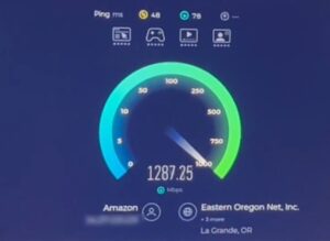 Screenshot showing downlink data speed on a dial