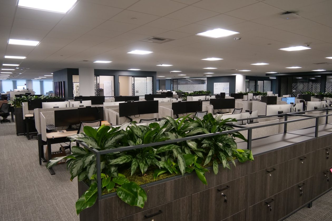 An open office floor with rows of desks with dual monitors, low gray dividers and planters, with glass-walled meeting rooms along the back.